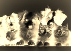 Sepia + Negatyw