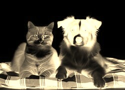 Sepia + Negatyw