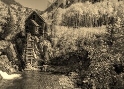 Szary + Sepia