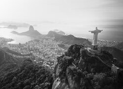 Szary