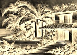 Sepia + Negatyw