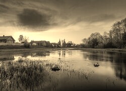 Szary + Sepia