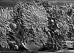 Skamielina