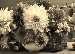 Szary + Sepia