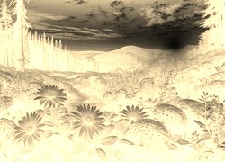 Sepia + Negatyw