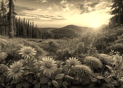 Sepia
