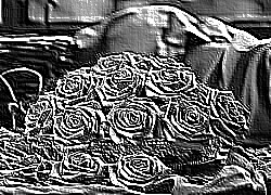 Skamielina