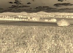 Sepia + Negatyw