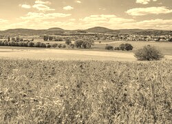 Szary + Sepia
