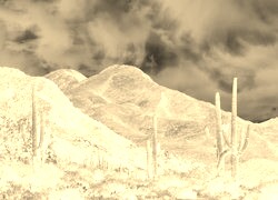 Sepia + Negatyw
