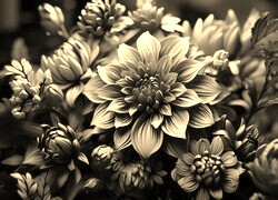 Szary + Sepia