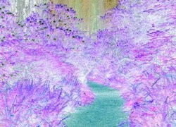 Negatyw