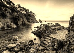Szary + Sepia
