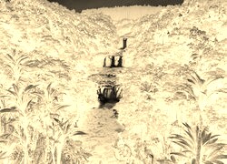 Sepia + Negatyw