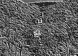 Skamielina