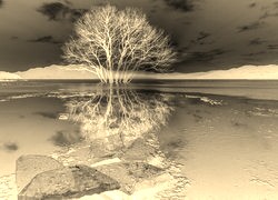 Sepia + Negatyw
