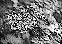 Skamielina