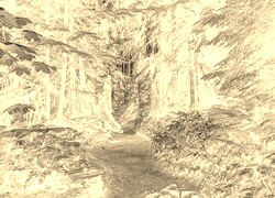 Sepia + Negatyw