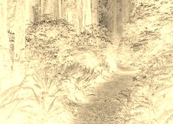 Sepia + Negatyw