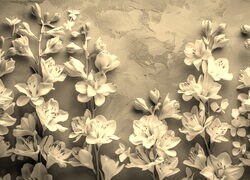 Szary + Sepia