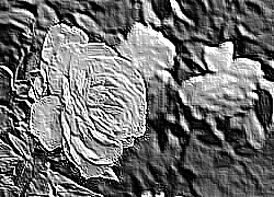 Skamielina