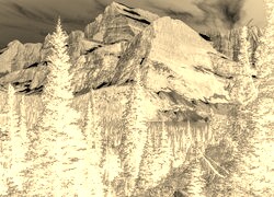 Sepia + Negatyw