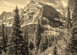 Szary + Sepia