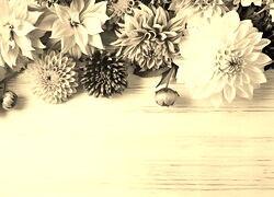 Szary + Sepia