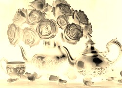 Sepia + Negatyw
