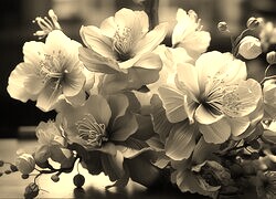 Szary + Sepia