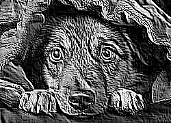 Skamielina