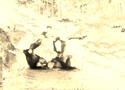 Sepia + Negatyw