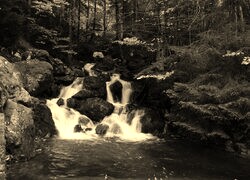 Szary + Sepia