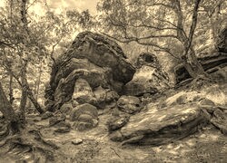 Sepia