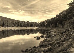 Szary + Sepia