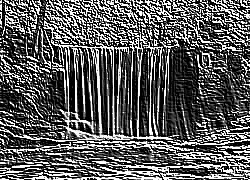 Skamielina
