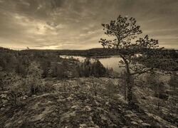 Szary + Sepia