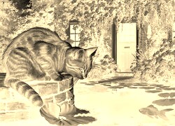 Sepia + Negatyw