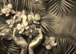 Szary + Sepia