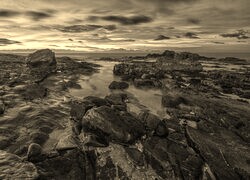 Szary + Sepia