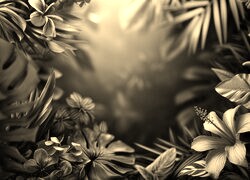 Szary + Sepia