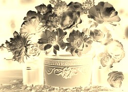 Sepia + Negatyw