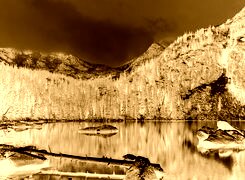 Sepia + Negatyw