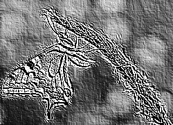 Skamielina