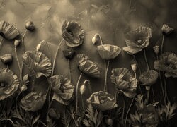 Szary + Sepia