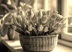 Szary + Sepia
