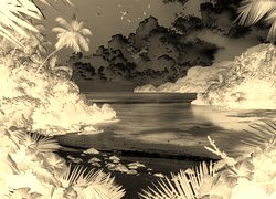 Sepia + Negatyw