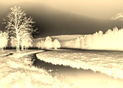 Sepia + Negatyw
