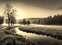 Szary + Sepia
