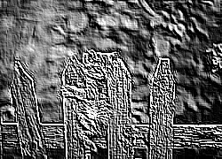 Skamielina